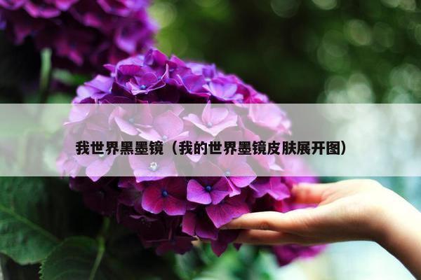 我世界黑墨镜（我的世界墨镜皮肤展开图）
