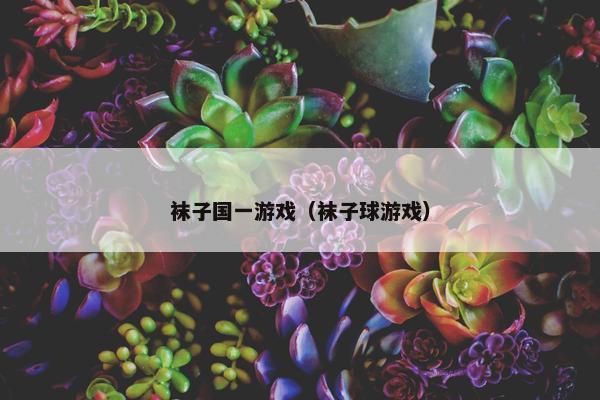 袜子国一游戏（袜子球游戏）