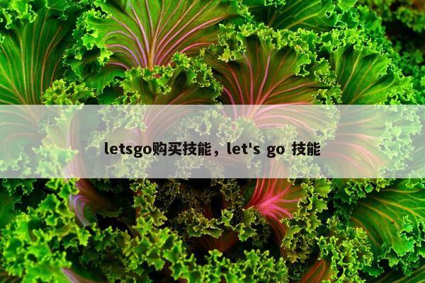 letsgo购买技能，let's go 技能