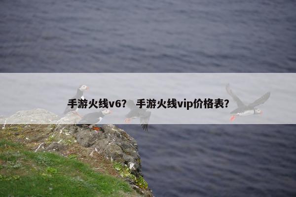 手游火线v6？ 手游火线vip价格表？