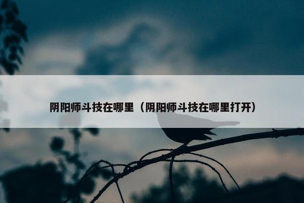 阴阳师斗技在哪里（阴阳师斗技在哪里打开）