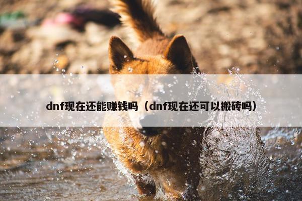 dnf现在还能赚钱吗（dnf现在还可以搬砖吗）