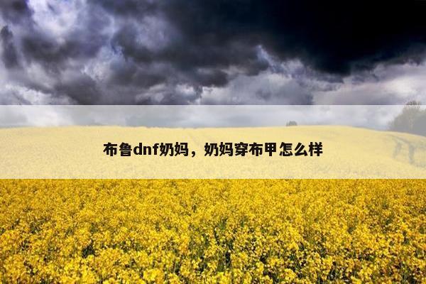 布鲁dnf奶妈，奶妈穿布甲怎么样