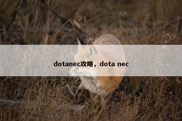 dotanec攻略，dota nec