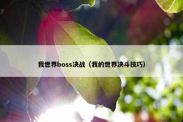我世界boss决战（我的世界决斗技巧）