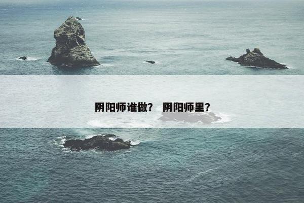 阴阳师谁做？ 阴阳师里？