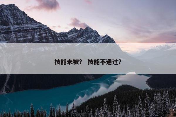 技能未被？ 技能不通过？