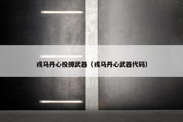 戎马丹心投掷武器（戎马丹心武器代码）