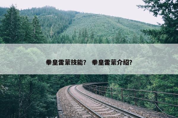 拳皇雷蒙技能？ 拳皇雷蒙介绍？