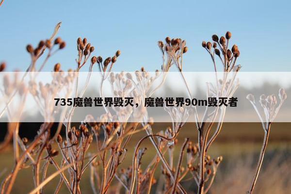 735魔兽世界毁灭，魔兽世界90m毁灭者