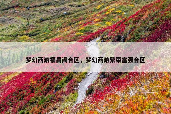 梦幻西游福昌阁合区，梦幻西游繁荣富强合区