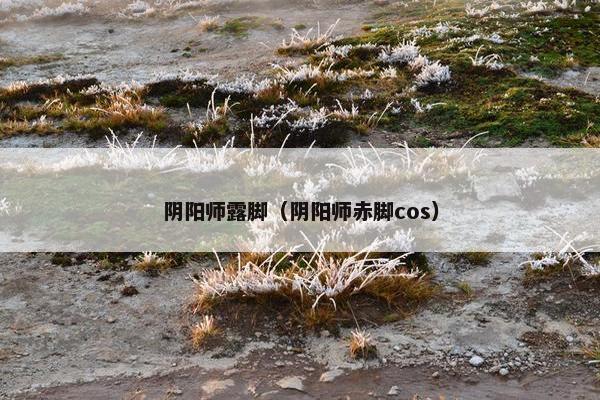 阴阳师露脚（阴阳师赤脚cos）