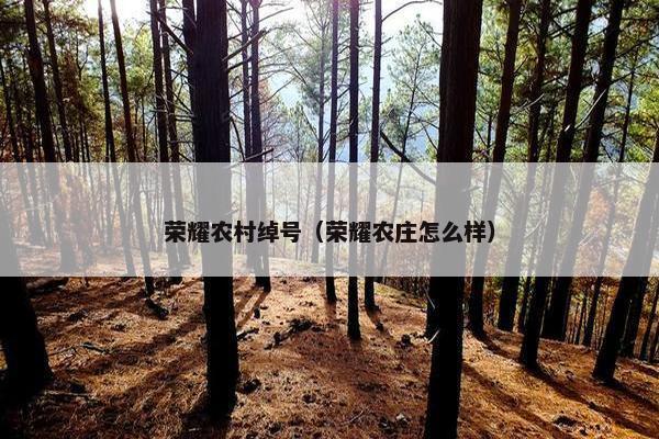 荣耀农村绰号（荣耀农庄怎么样）