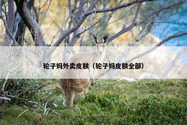轮子妈外卖皮肤（轮子妈皮肤全部）