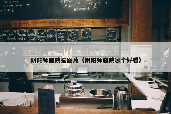 阴阳师庭院猫图片（阴阳师庭院哪个好看）