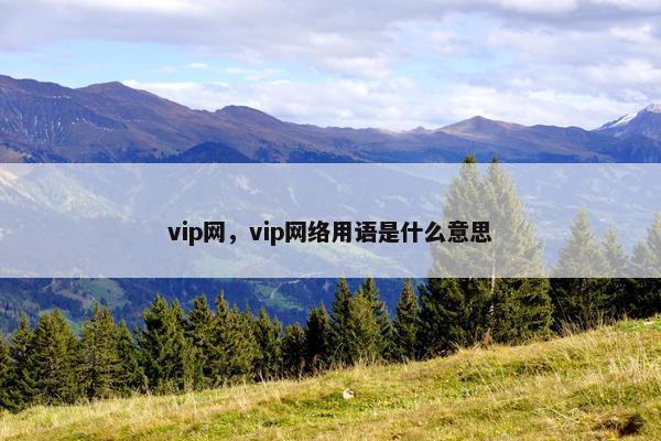 vip网，vip网络用语是什么意思