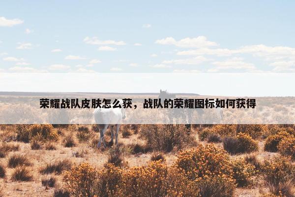 荣耀战队皮肤怎么获，战队的荣耀图标如何获得