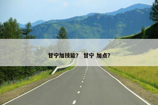 甘宁加技能？ 甘宁 加点？