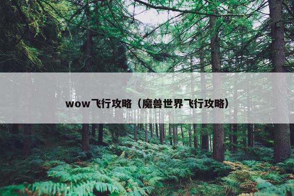 wow飞行攻略（魔兽世界飞行攻略）