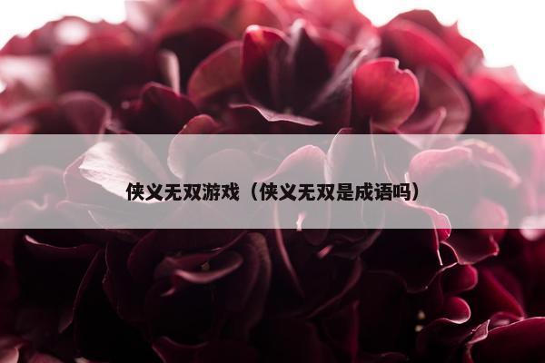 侠义无双游戏（侠义无双是成语吗）