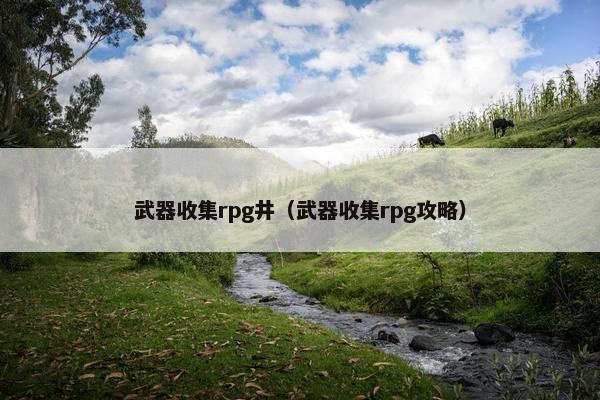 武器收集rpg井（武器收集rpg攻略）