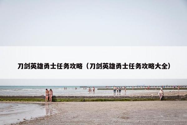 刀剑英雄勇士任务攻略（刀剑英雄勇士任务攻略大全）