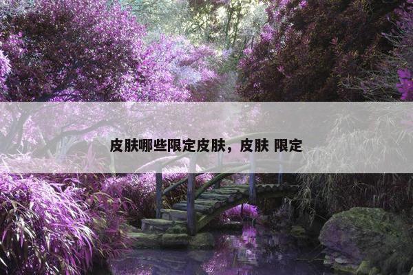皮肤哪些限定皮肤，皮肤 限定