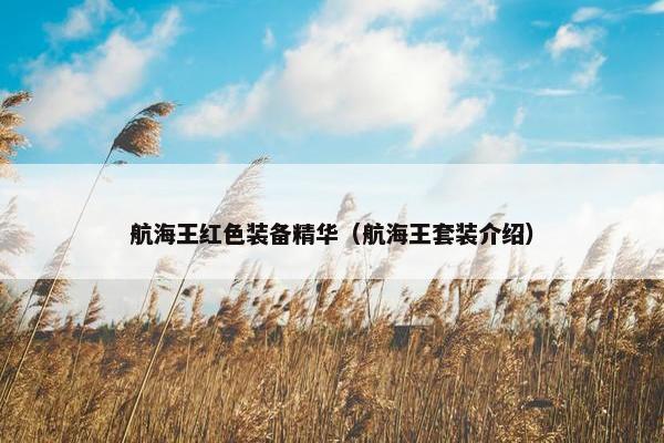 航海王红色装备精华（航海王套装介绍）