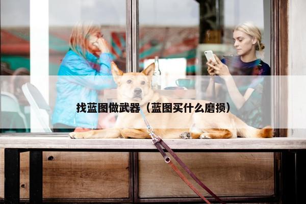 找蓝图做武器（蓝图买什么磨损）