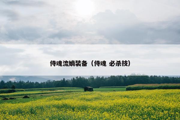 侍魂流嫡装备（侍魂 必杀技）