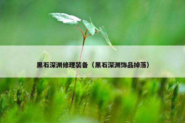 黑石深渊修理装备（黑石深渊饰品掉落）