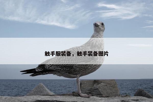 触手服装备，触手装备图片