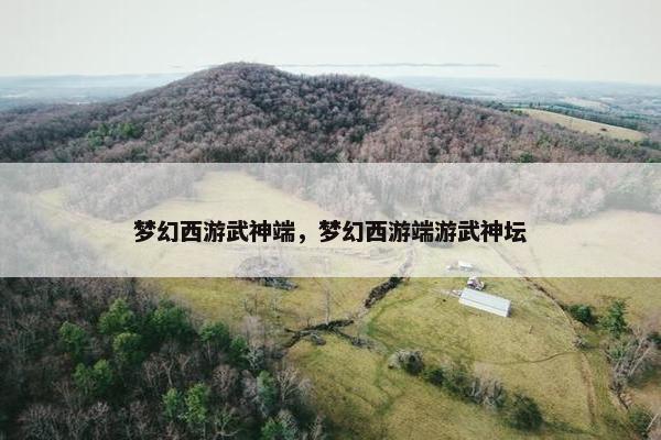 梦幻西游武神端，梦幻西游端游武神坛
