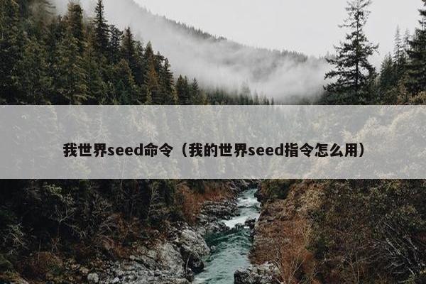 我世界seed命令（我的世界seed指令怎么用）