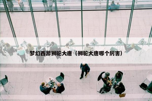 梦幻西游狮驼大唐（狮驼大唐哪个厉害）