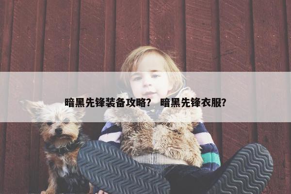 暗黑先锋装备攻略？ 暗黑先锋衣服？