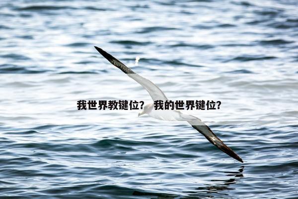我世界教键位？ 我的世界键位？