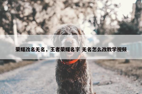 荣耀改名无名，王者荣耀名字 无名怎么改教学视频
