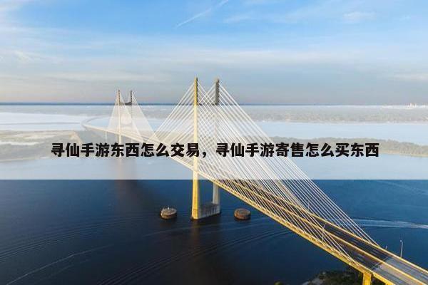 寻仙手游东西怎么交易，寻仙手游寄售怎么买东西