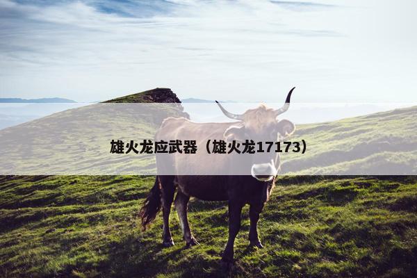 雄火龙应武器（雄火龙17173）