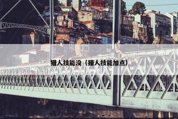猎人技能没（猎人技能加点）