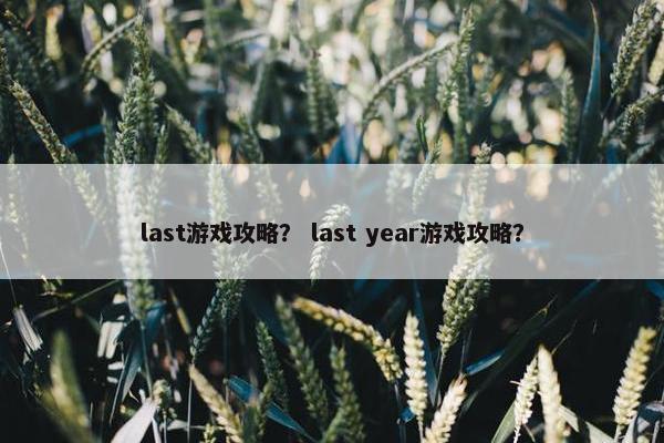 last游戏攻略？ last year游戏攻略？