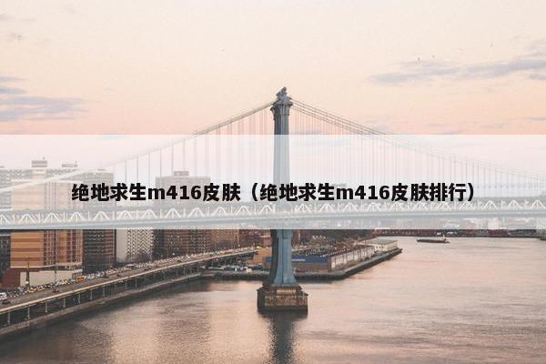 绝地求生m416皮肤（绝地求生m416皮肤排行）