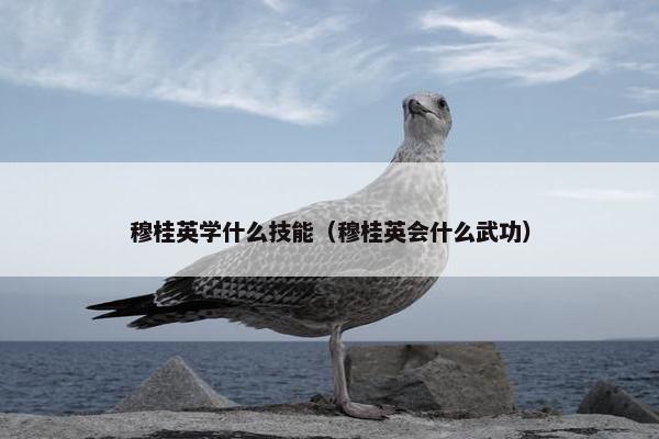 穆桂英学什么技能（穆桂英会什么武功）