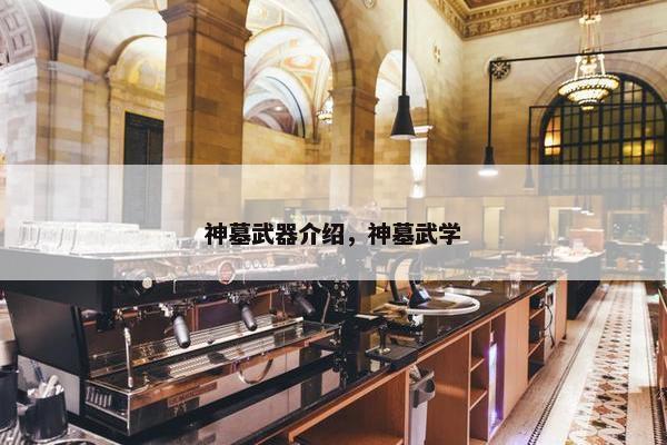 神墓武器介绍，神墓武学