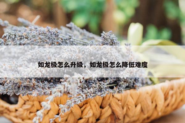 如龙极怎么升级，如龙极怎么降低难度