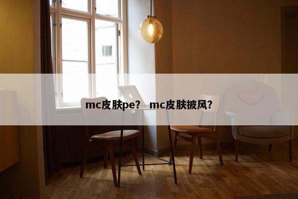 mc皮肤pe？ mc皮肤披风？