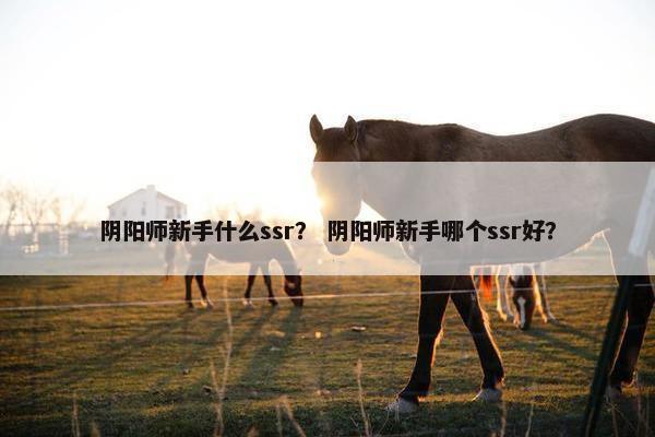 阴阳师新手什么ssr？ 阴阳师新手哪个ssr好？