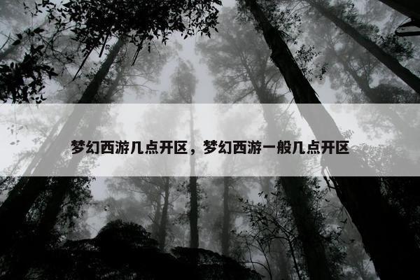梦幻西游几点开区，梦幻西游一般几点开区