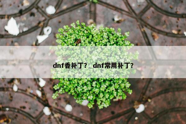 dnf香补丁？ dnf常用补丁？